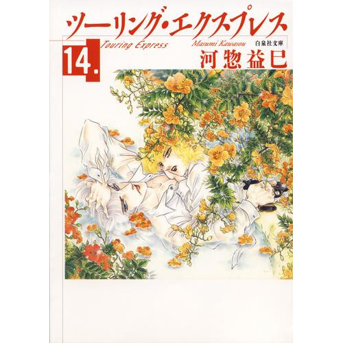 電子版 ツーリング エクスプレス 14 冊セット 全巻 河惣益巳 漫画全巻ドットコム