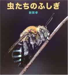 児童書 虫のこどもたち 漫画全巻ドットコム