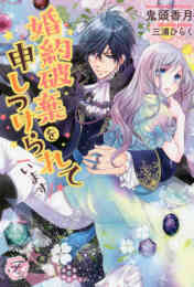 ライトノベル 政略結婚の在り方 全1冊 漫画全巻ドットコム