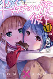 ドメスティックな彼女 27 特装版 漫画全巻ドットコム
