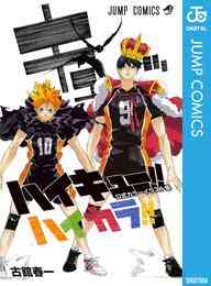 画集 ハイキュー Complete Illustration Book 終わりと始まり 漫画全巻ドットコム