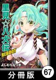 漫画 電子書籍 里見☆八犬伝ＲＥＢＯＯＴ【分冊版】 の表紙画像