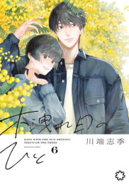 木洩れ日のひと (1-6巻 最新刊)