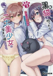 [ライトノベル]黒猫を拾ったら俺んちが二大美少女の溜まり場になった。 (全3冊)