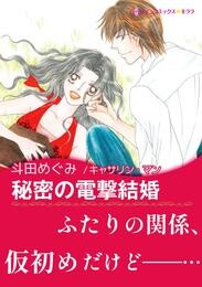 秘密の電撃結婚【あとがき付き】〈億万長者に愛されて Ⅳ〉
