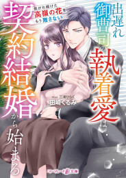[ライトノベル]出遅れ御曹司の執着愛は契約結婚から始まる〜焦がれ続けた高嶺の花を、もう離さない〜 (全1冊)