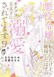 悪役令嬢に転生したけど、破局したはずのカタブツ王太子に溺愛されてます！？【電子限定特典付き】 (3)