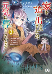 家を追い出されましたが、元気に暮らしています 〜チートな魔法と前世知識で快適便利なセカンドライフ!〜 (1-3巻 最新刊)
