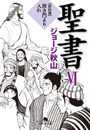 聖書 6 冊セット 全巻