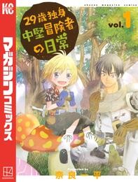 29歳独身中堅冒険者の日常