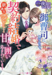 [ライトノベル]一夜限りのはずのスパダリ御曹司に見つかって、契約結婚で訳ありベビーごと甘く囲い込まれています (全1冊)