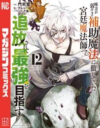 味方が弱すぎて補助魔法に徹していた宮廷魔法師、追放されて最強を目指す