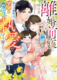 [ライトノベル]離婚前夜に内緒で世継ぎを授かったら〜策士な御曹司はママとベビーを執愛で守り離さない〜 (全1冊)