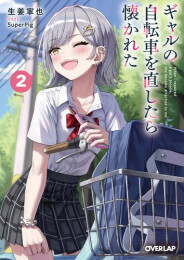 [ライトノベル]ギャルの自転車を直したら懐かれた (全3冊)