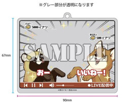 【有償特典付】お前、タヌキにならねーか?(10)