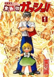 金色のガッシュ!! 完全版(1)