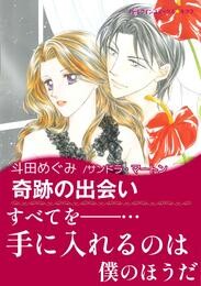 奇跡の出会い〈王子に魅せられてI〉