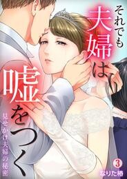 【期間限定　無料お試し版】それでも夫婦は嘘をつく～見せかけ夫婦の秘密～(3)