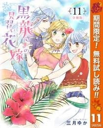 【分冊版】黒龍さまの見習い花嫁【期間限定無料】 11