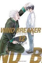 ＷＩＮＤ　ＢＲＥＡＫＥＲ（１２）