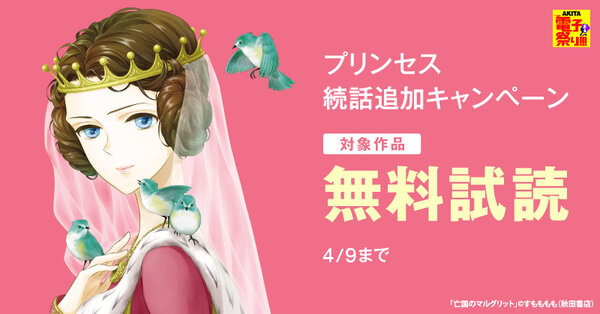 【AKITA電子祭り 冬の陣】プリンセス　続話追加キャンペーン