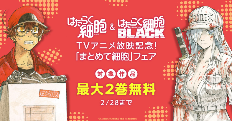 はたらく細胞 はたらく細胞black ｔｖアニメ放映記念 まとめて細胞 フェア 漫画全巻ドットコム