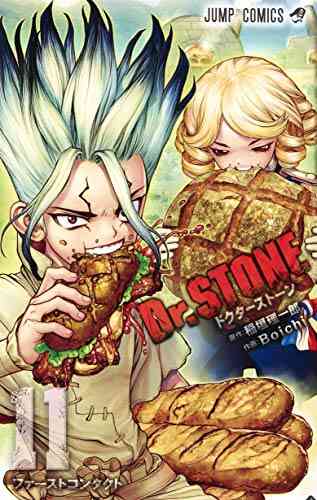 ドクターストーン Dr Stone 1 17巻 最新刊 漫画全巻ドットコム