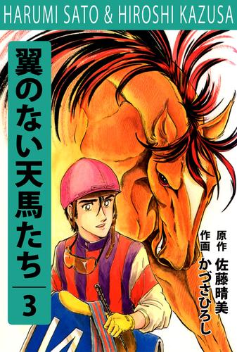 翼の無い天馬たち 3 冊セット 全巻