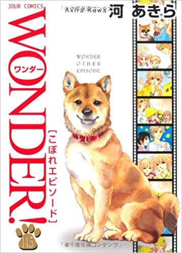 WONDER！ 14.5巻 | 漫画全巻ドットコム