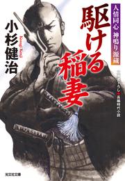 人情同心　神鳴り源蔵 11 冊セット 最新刊まで