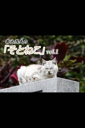 菊池茂夫の「そとねこ」vol.1