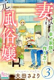 妻は元風俗嬢～幸せ家族の作り方～ 3 冊セット 最新刊まで