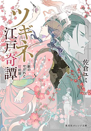 [ライトノベル]ツギネ江戸奇譚-藪のせがれと錠前屋- (全1冊)