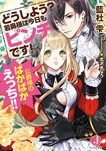 [ライトノベル]どうしよう? 若奥様は今日もピンチです!公爵様のばかばかえっち!! (全1冊)