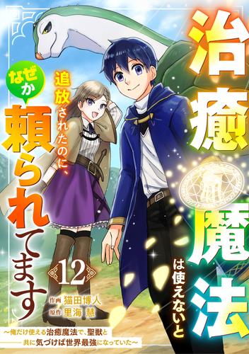 治癒魔法は使えないと追放されたのに、なぜか頼られてます～俺だけ使える治癒魔法で、聖獣と共に気づけば世界最強になっていた～【分冊版】12巻