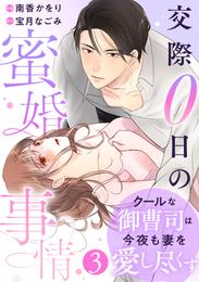 comic Berry’sクールな御曹司は今夜も妻を愛し尽くす～交際0日の蜜婚事情～3巻