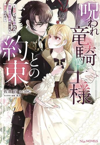 [ライトノベル]呪われ竜騎士様との約束 〜冤罪で国を追われた孤独な魔術師は隣国で溺愛される〜 (全1冊)