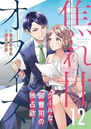 焦れ甘オフィス～クールな御曹司の独占欲～【分冊版】 12 冊セット 全巻