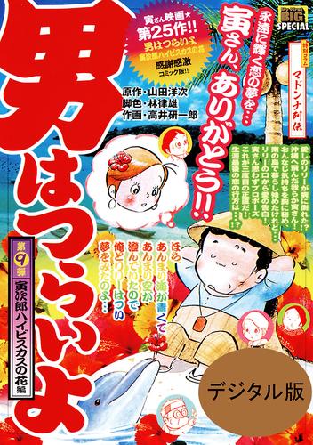 男はつらいよ 寅次郎ハイビスカスの花（９）