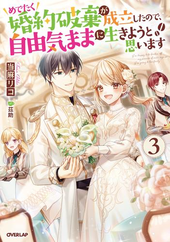 [ライトノベル]めでたく婚約破棄が成立したので、自由気ままに生きようと思います (全3冊)