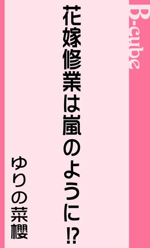 花嫁修業は嵐のように！？