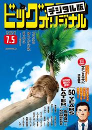 ビッグコミックオリジナル 2024年13号（2024年6月20日発売)