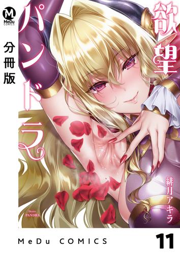 【分冊版】欲望パンドラ 11