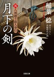 真・八州廻り浪人奉行 6 冊セット 最新刊まで