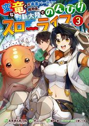 変な竜と元勇者パーティー雑用係、新大陸でのんびりスローライフ 3巻
