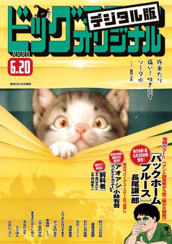 ビッグコミックオリジナル 2024年12号（2024年6月5日発売)