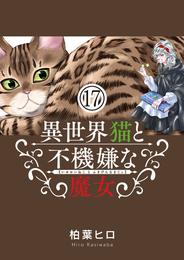 異世界猫と不機嫌な魔女【単話】（１７）