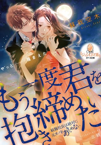 [ライトノベル]もう一度君を抱き締めたい 敏腕社長は絶対に元カノをあきらめない (全1冊)