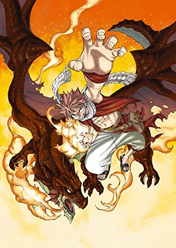 FAIRY TAIL(59) DVD付き特装版