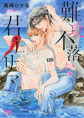 [ライトノベル]君主サマシリーズ (全2冊)